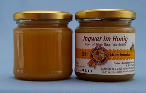 Honig / Ingwer im Honig 250g